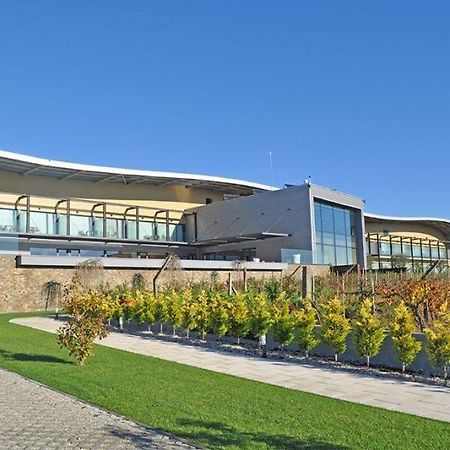 Garca Real Hotel & Spa - Singular'S Hotels Монтемор-у-Веллю Екстер'єр фото