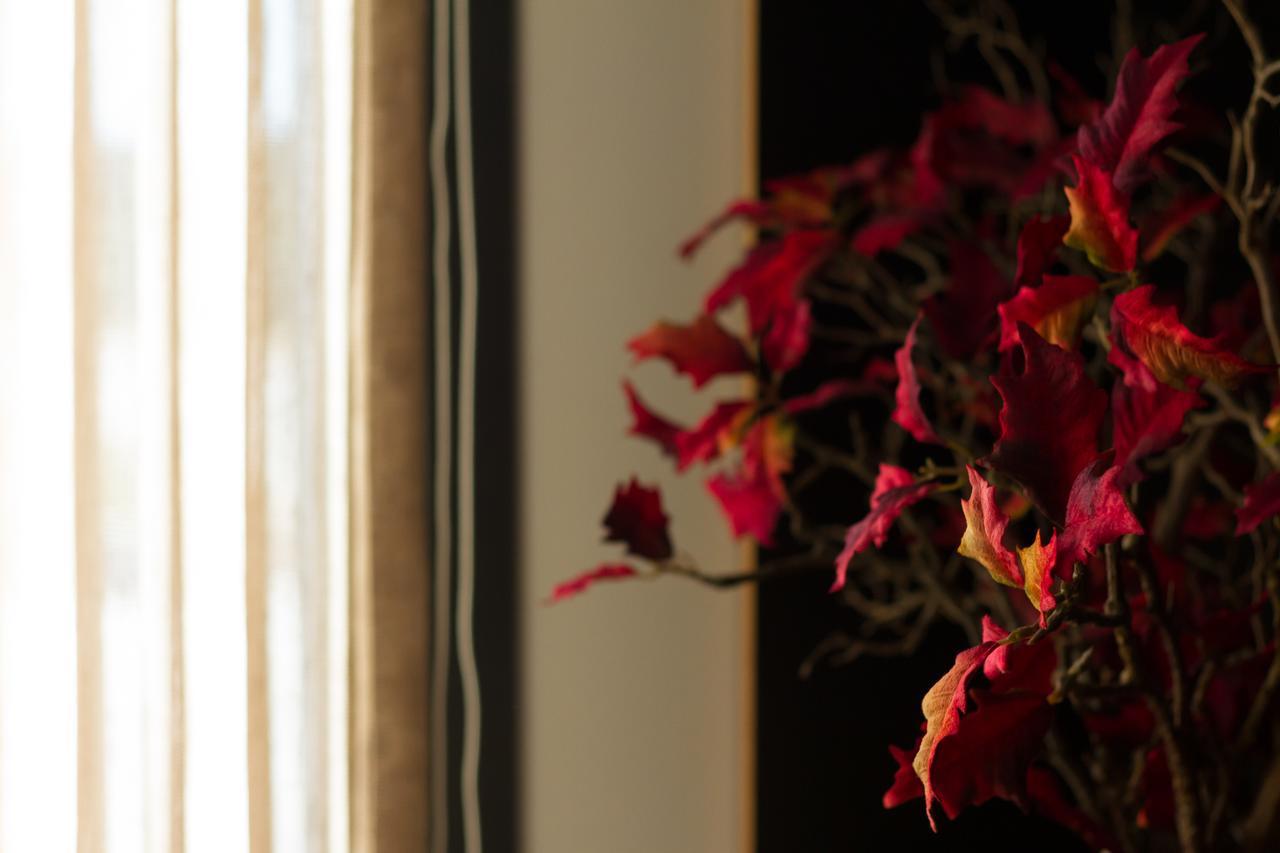 Garca Real Hotel & Spa - Singular'S Hotels Монтемор-у-Веллю Екстер'єр фото